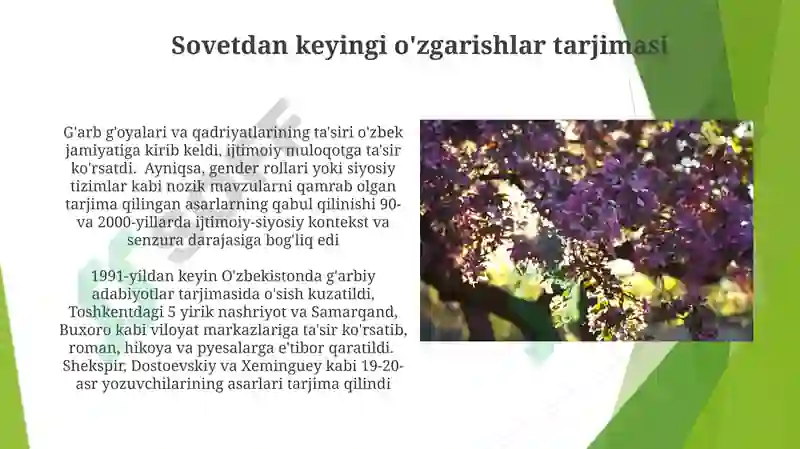 Preview 5