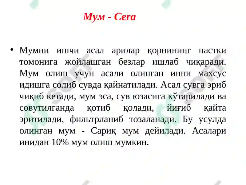 Preview 5