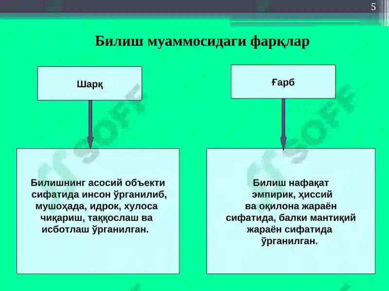 Preview 5