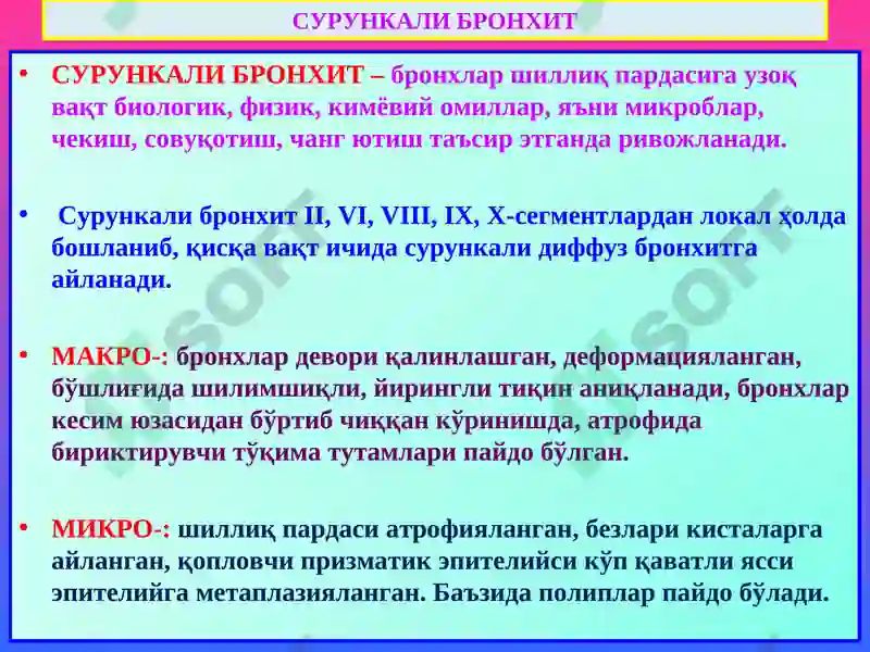 Preview 5