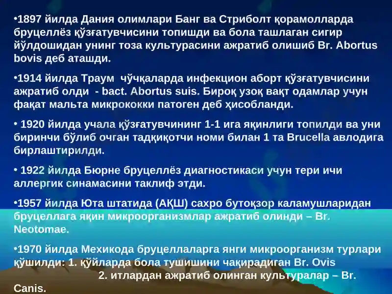 Preview 5