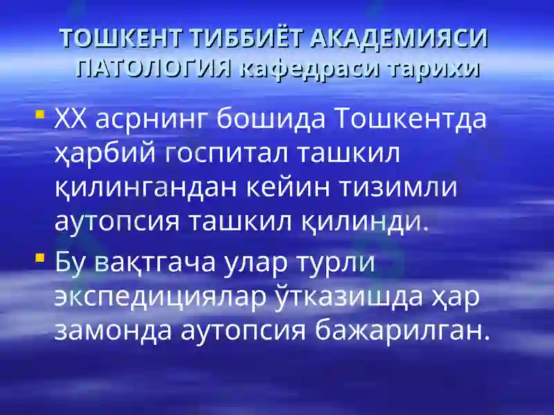 Preview 5