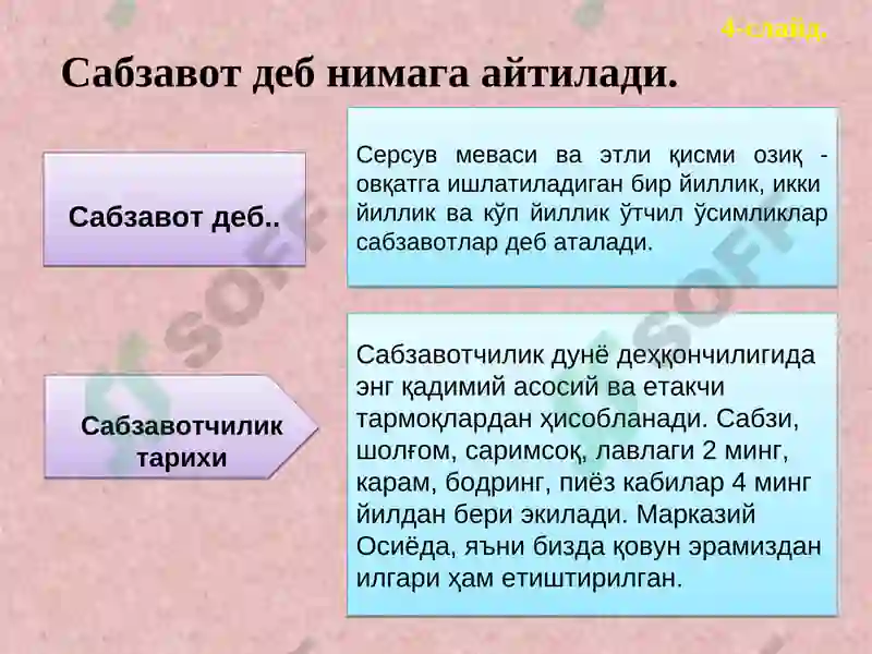 Preview 5