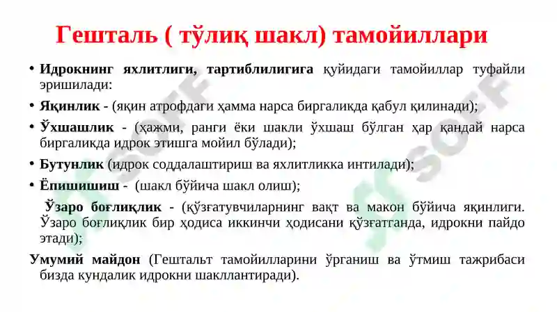 Preview 5