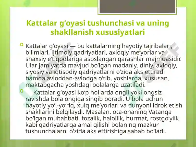 Preview 5