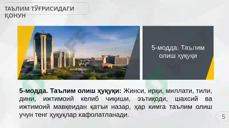 Preview 5