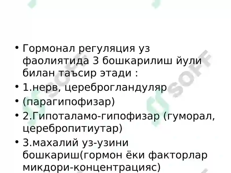 Preview 5
