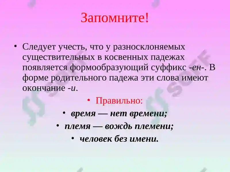 Preview 5