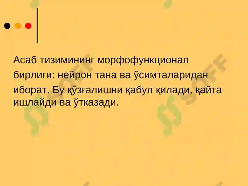 Preview 5