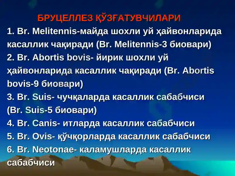 Preview 6