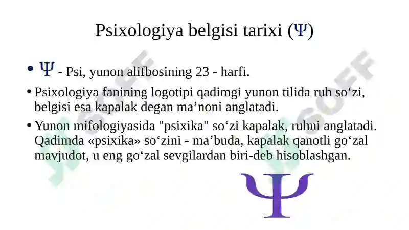 Preview 6
