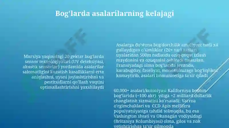 Preview 6