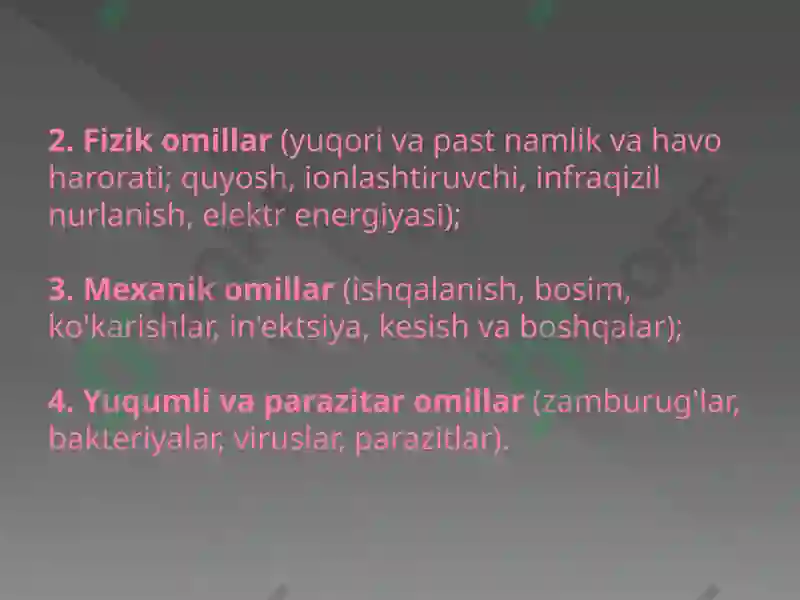 Preview 6