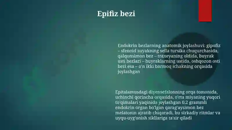 Preview 6