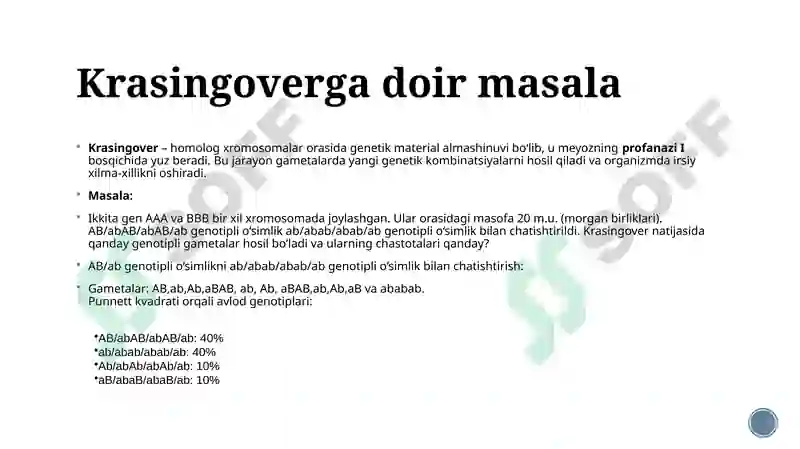 Preview 6