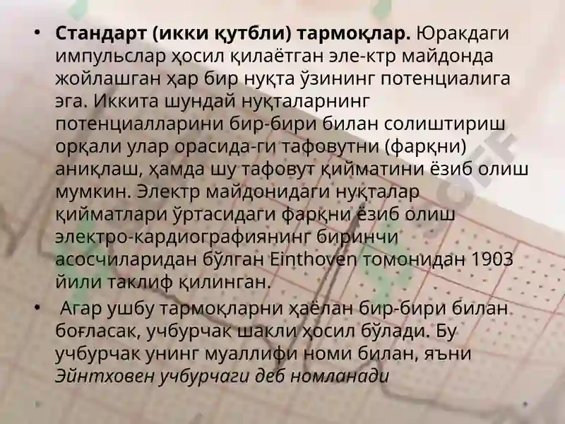 Preview 6