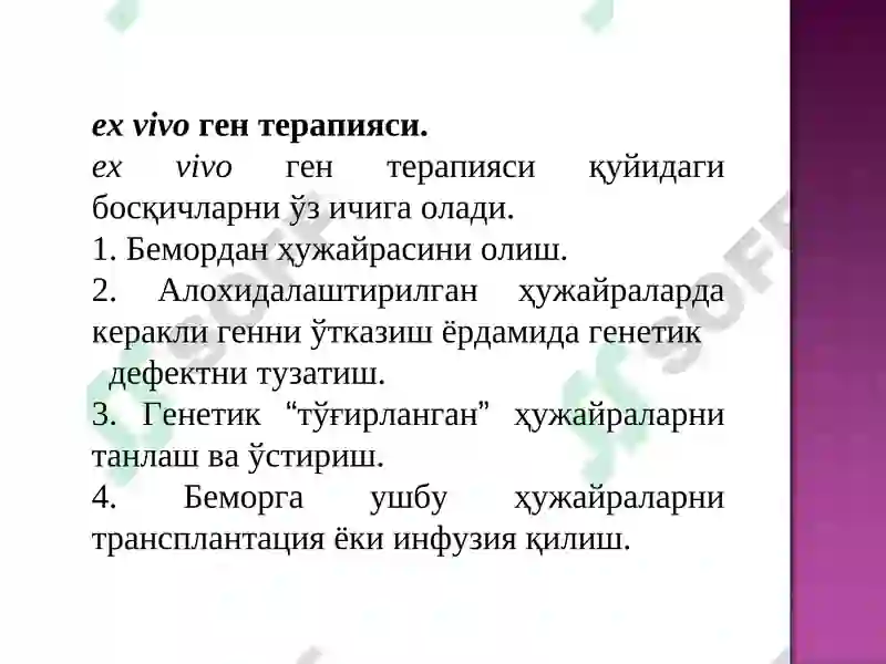 Preview 7