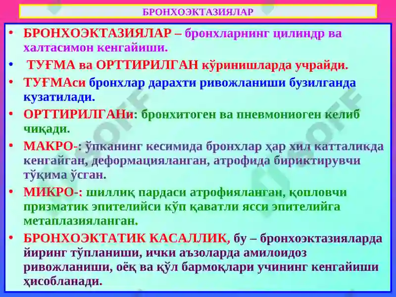 Preview 7