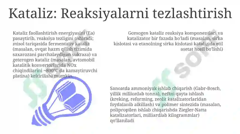 Preview 7