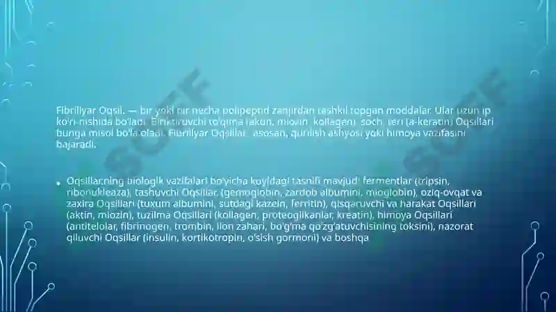 Preview 7