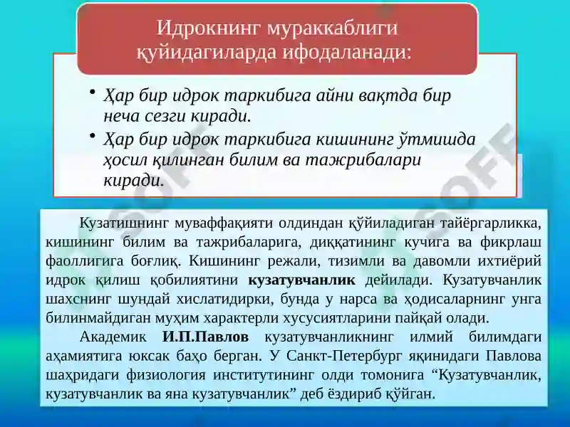 Preview 7