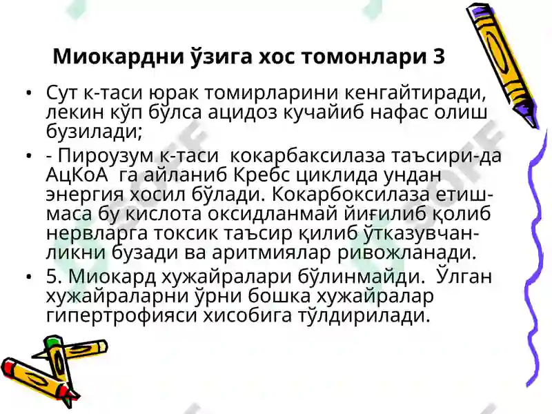 Preview 7