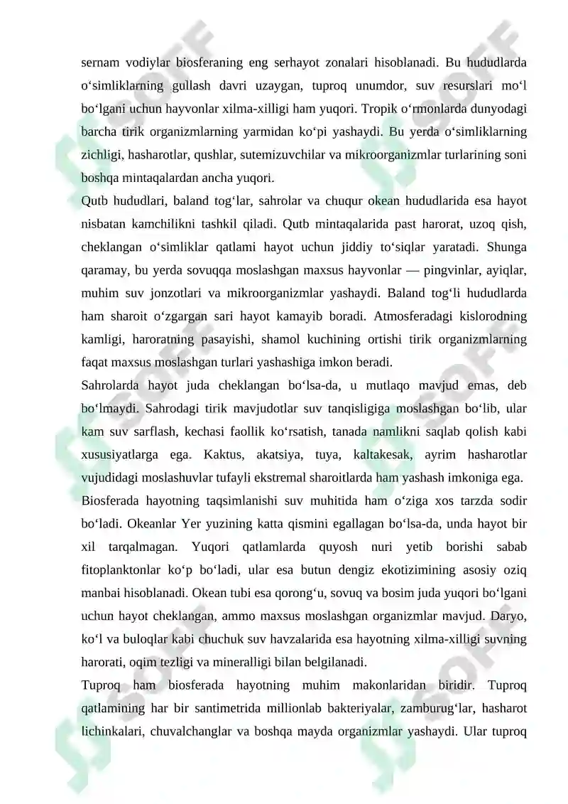 Preview 7