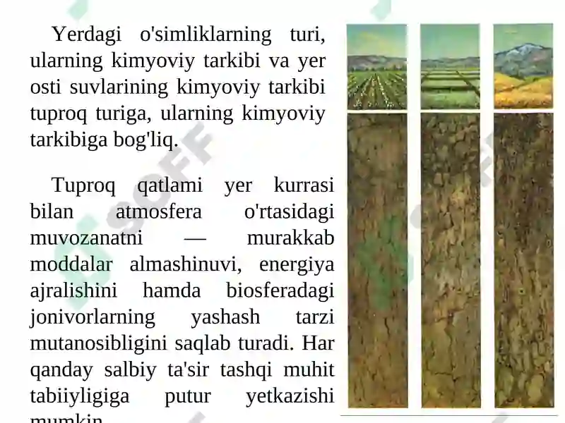 Preview 7