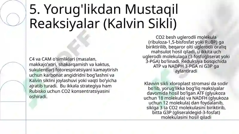Preview 7