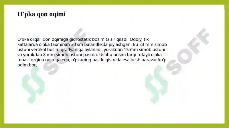 Preview 7