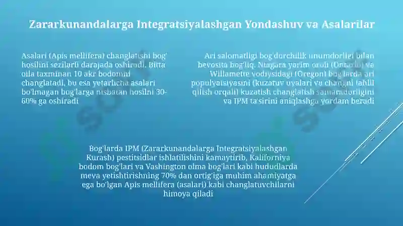 Preview 7