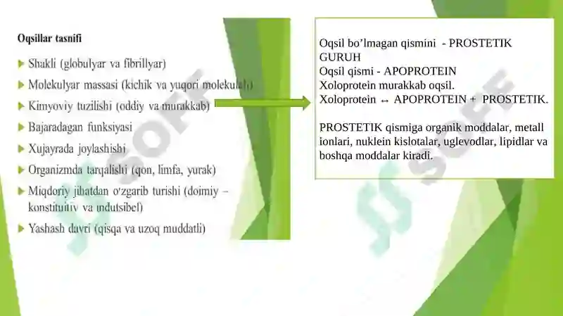 Preview 7