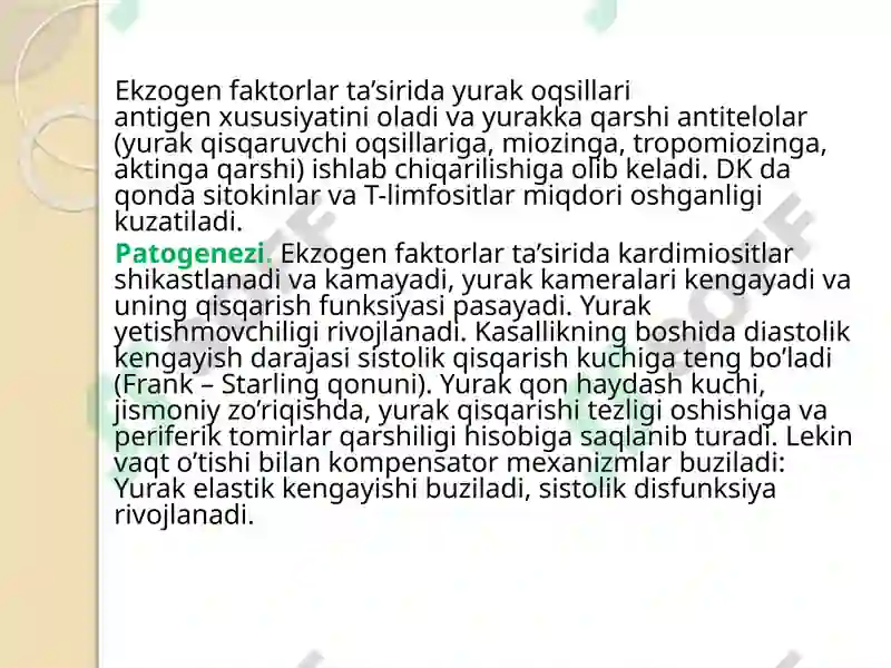 Preview 7