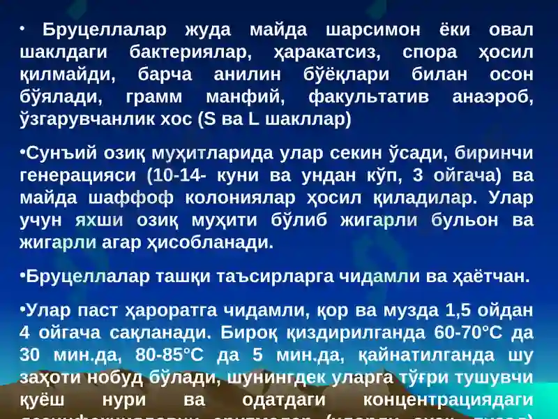Preview 7
