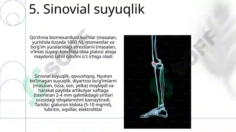 Preview 7