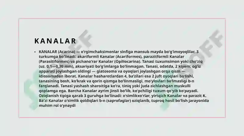 Preview 7