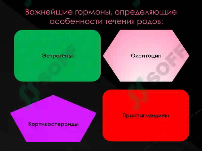 Preview 7
