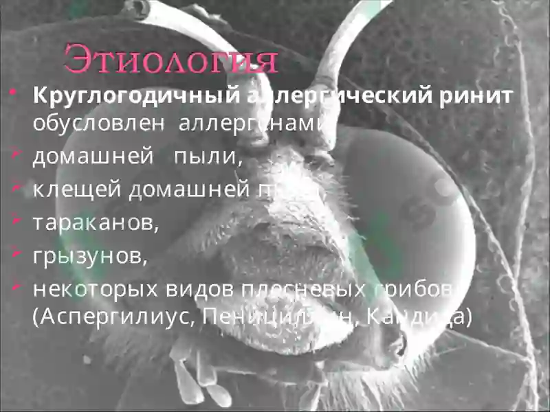 Preview 7