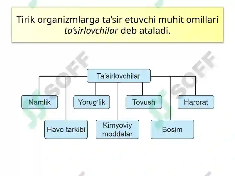 Preview 7