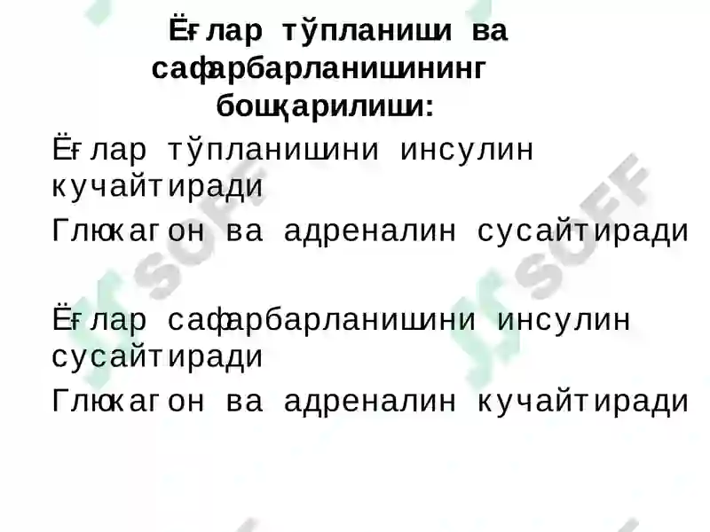 Preview 8