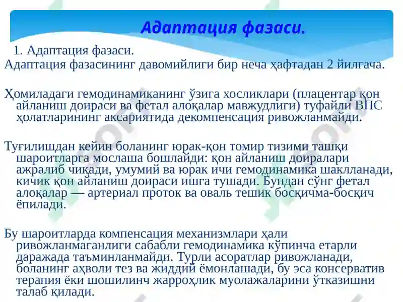Preview 8