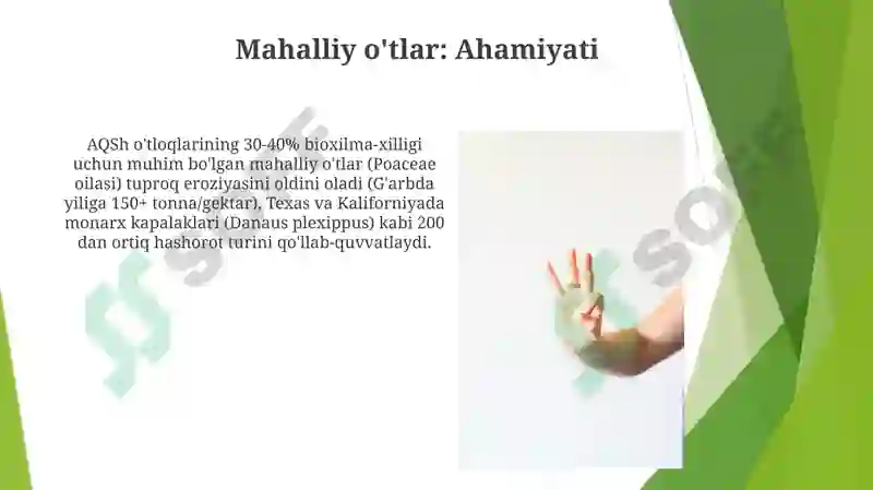 Preview 8