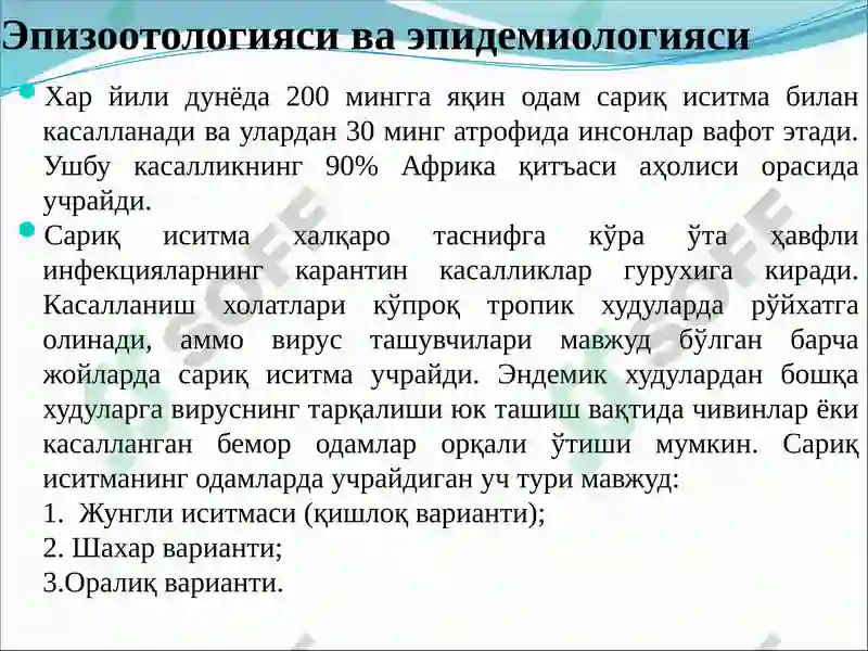 Preview 8