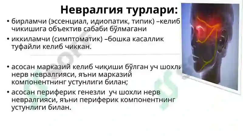 Preview 8
