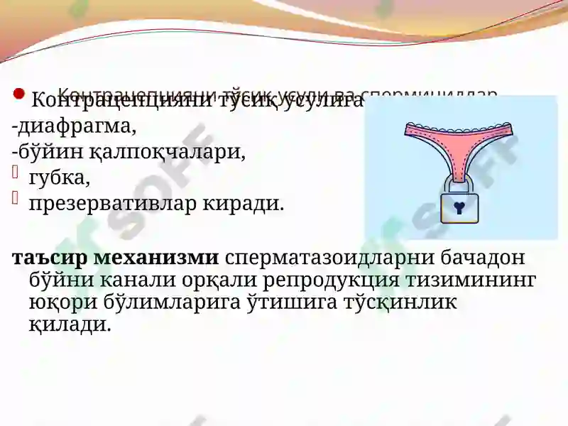 Preview 8