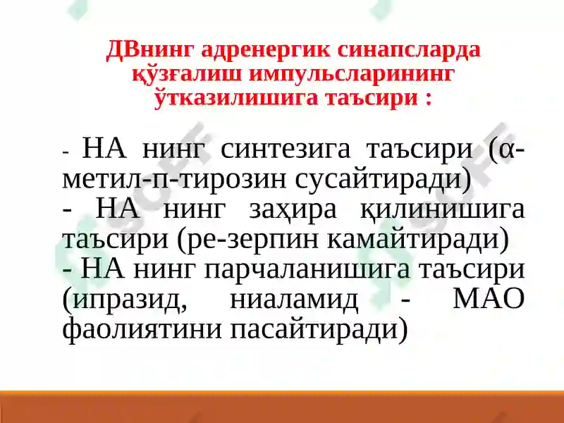Preview 8