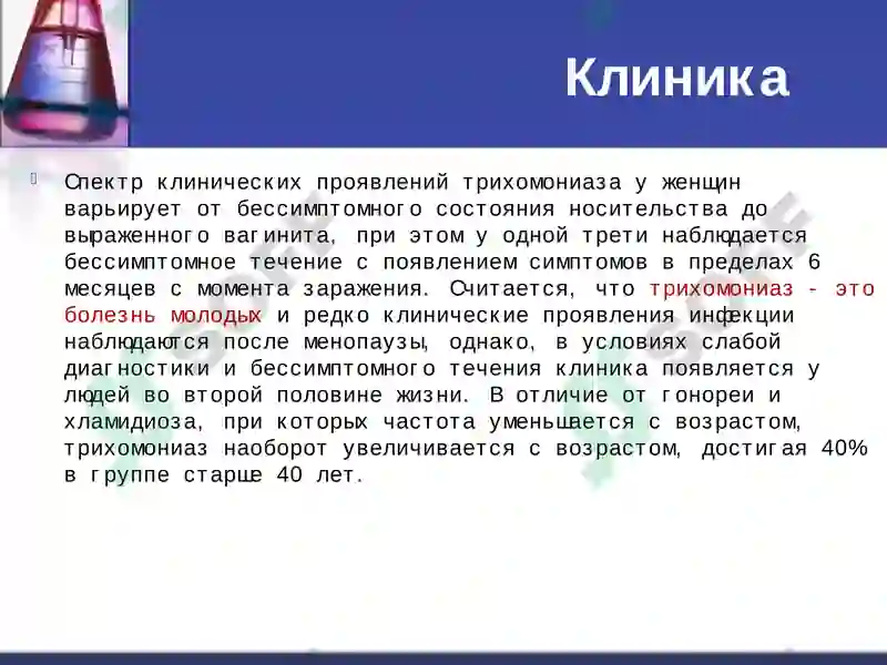 Preview 8