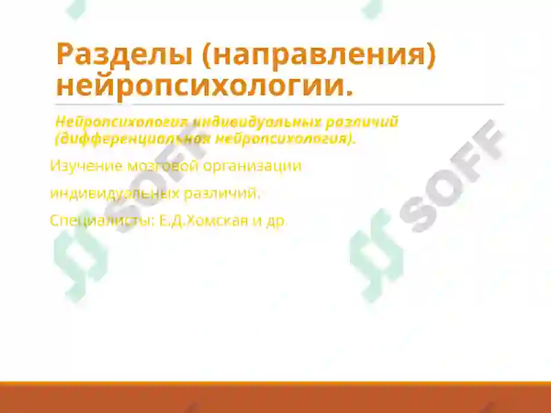 Preview 8