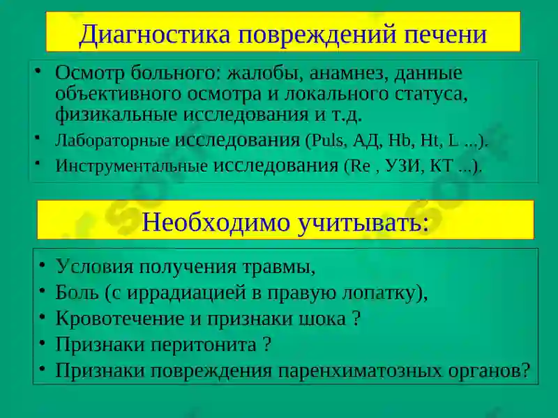 Preview 8