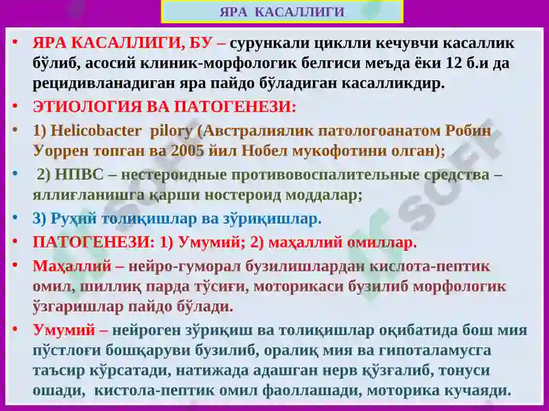 Preview 8